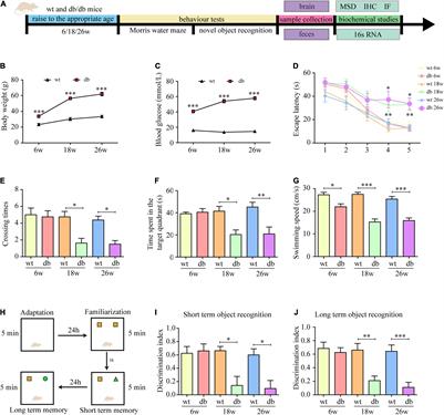 Gut Microbiota Alteration Is Associated With Cognitive Deficits in Genetically Diabetic (Db/db) Mice During Aging